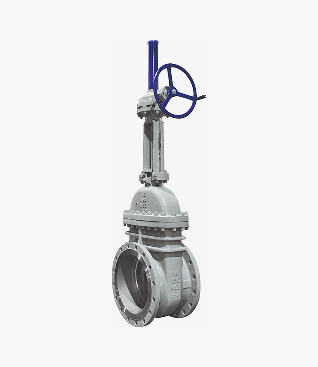 API Standard gate valve