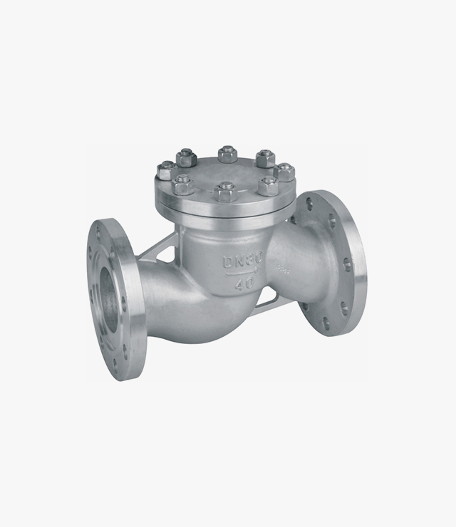 Lift Check Valve