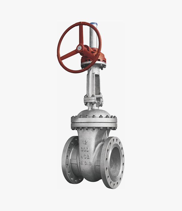 API Standard gate valve